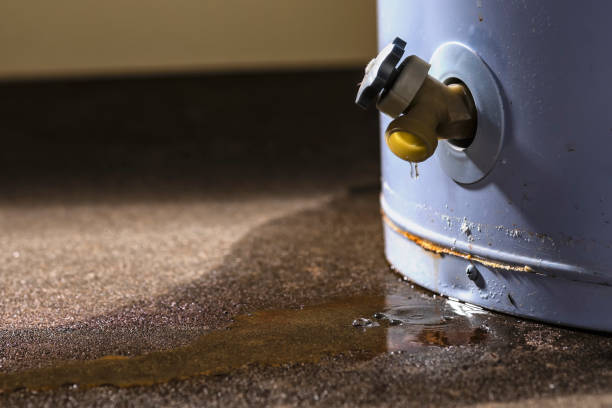 Best Flooded house restoration  in Normal, IL