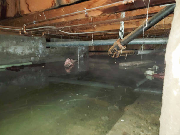Best Residential water damage restoration  in Normal, IL