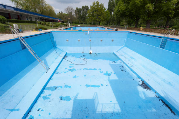 Best Mold removal after water damage  in Normal, IL