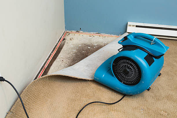 Best Water damage restoration insurance claims  in Normal, IL